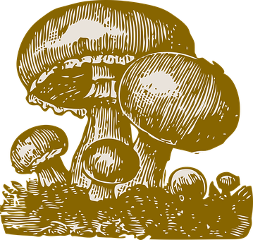 Golden_ Mushroom_ Illustration PNG with transparent background