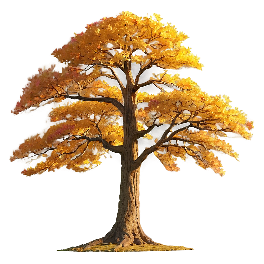Golden Oak Sunset PNG hnw PNG with transparent background