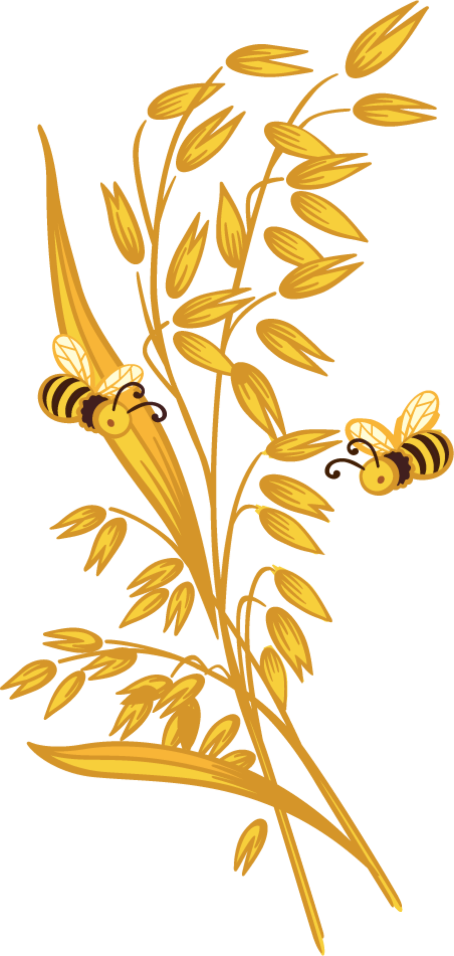 Oatmeal Clipart Thing - Clip Art Of Oats, HD Png Download PNG with transparent background
