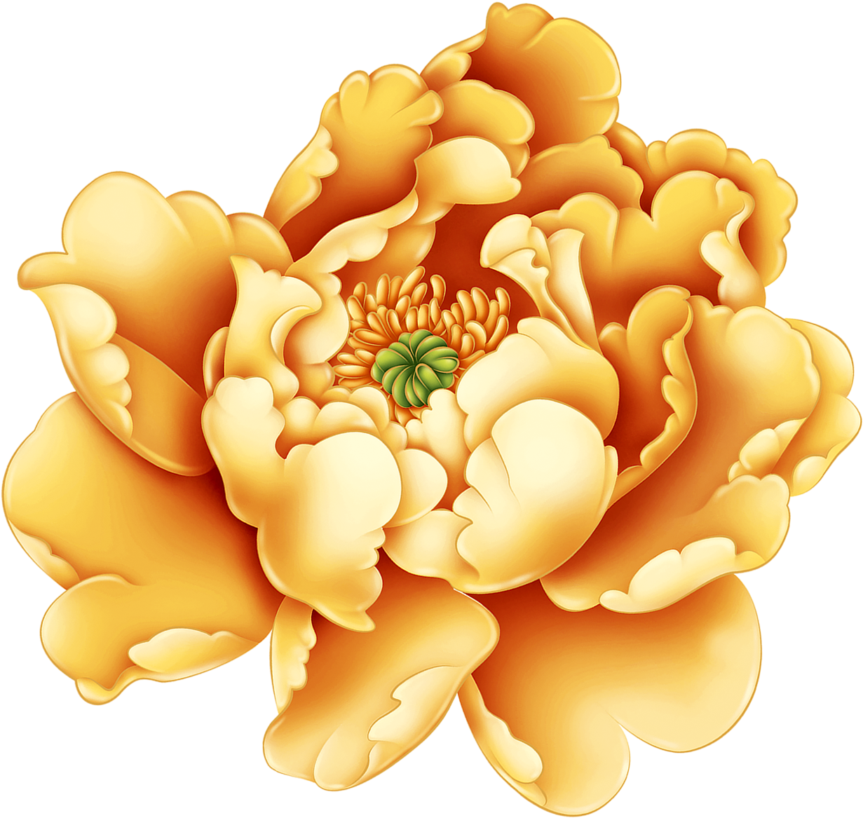 Golden Peony Illustration