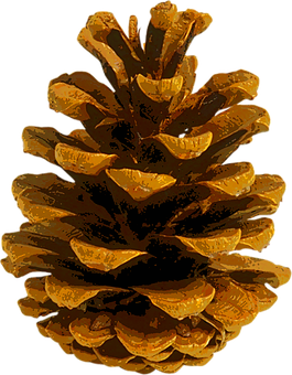 Golden Pinecone Autumn Vibes PNG with transparent background