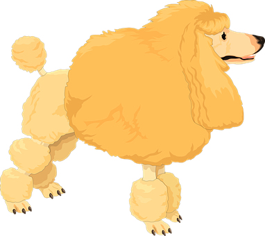 Golden Poodle Illustration