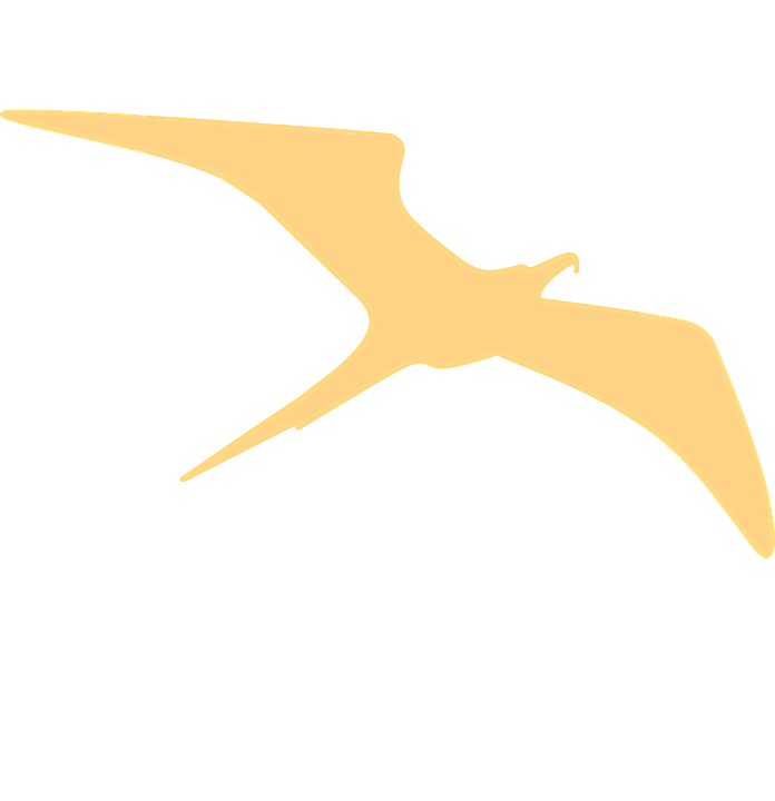Golden Pterodactyl Silhouette PNG with transparent background