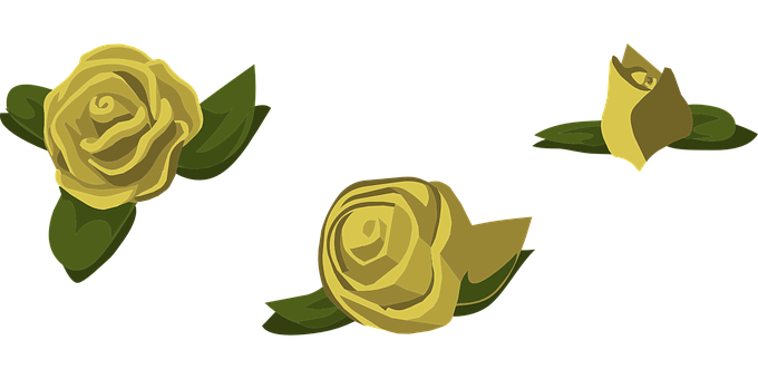 Golden Roses Vector Illustration