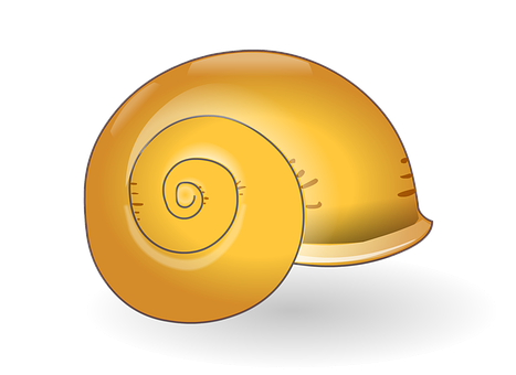 Golden Spiral Shell Illustration PNG with transparent background