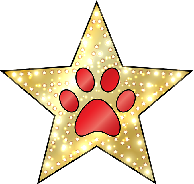 Golden Star Paw Print PNG with transparent background