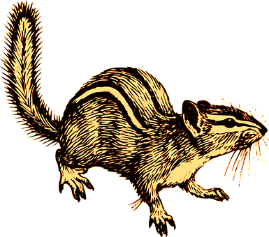 Golden Striped Squirrel Illustration