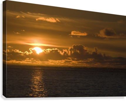 Golden Sunset Over Ocean PNG with transparent background