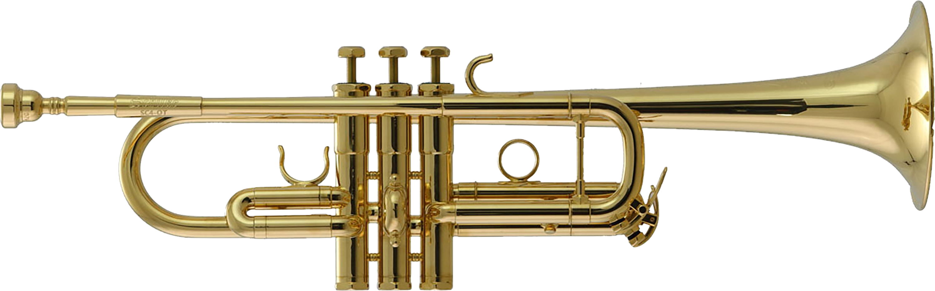 Golden Trumpet Side View