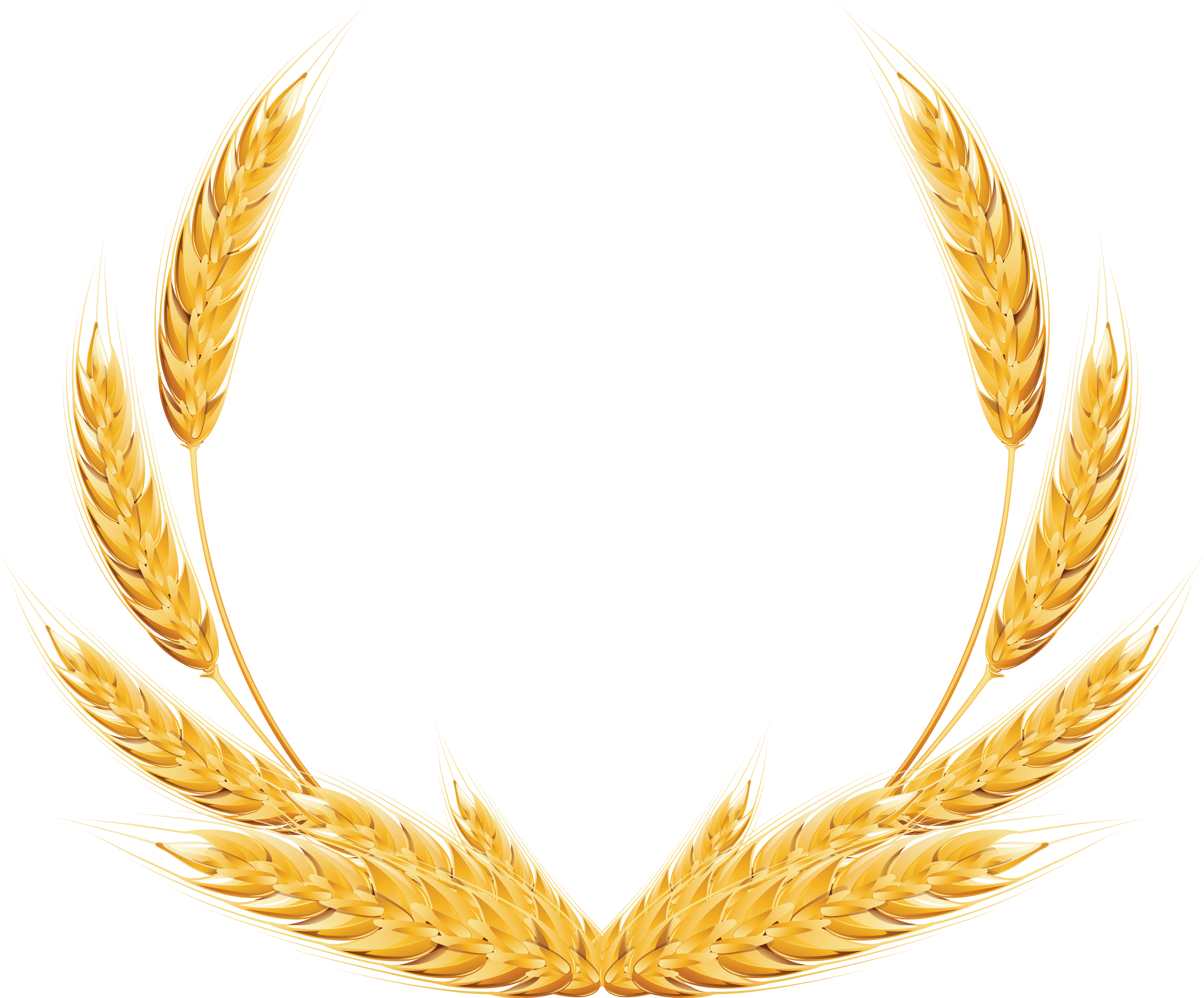 Golden Wheat Ears Graphic PNG with transparent background