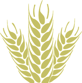 Golden Wheat Ears Vector Illustration PNG with transparent background