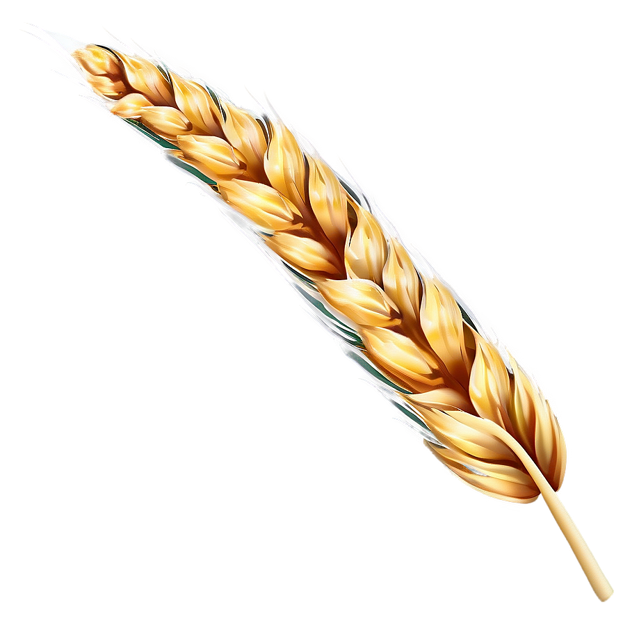 Golden Wheat Field PNG ptj PNG with transparent background