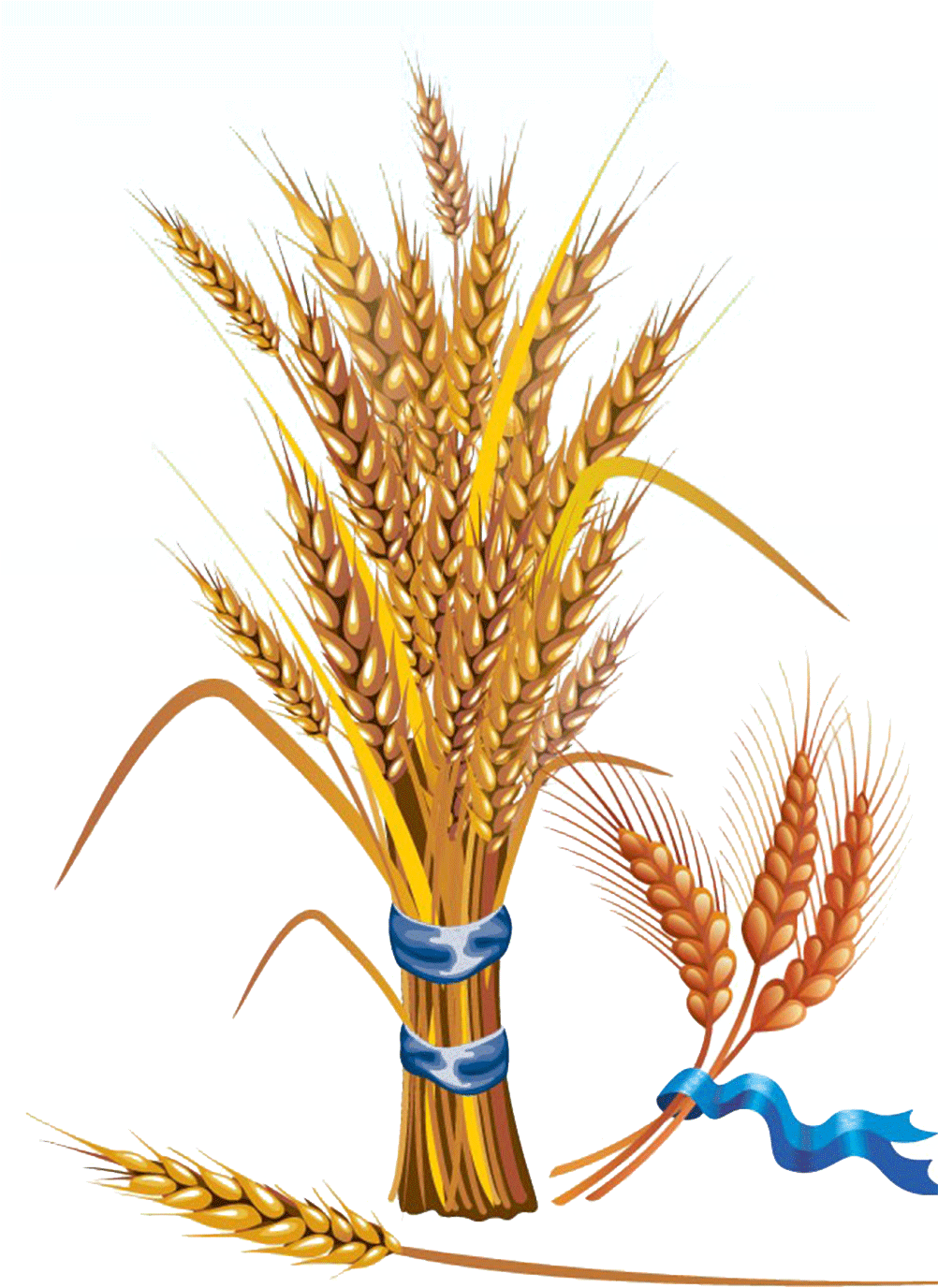 Golden Wheat Sheaves Vector