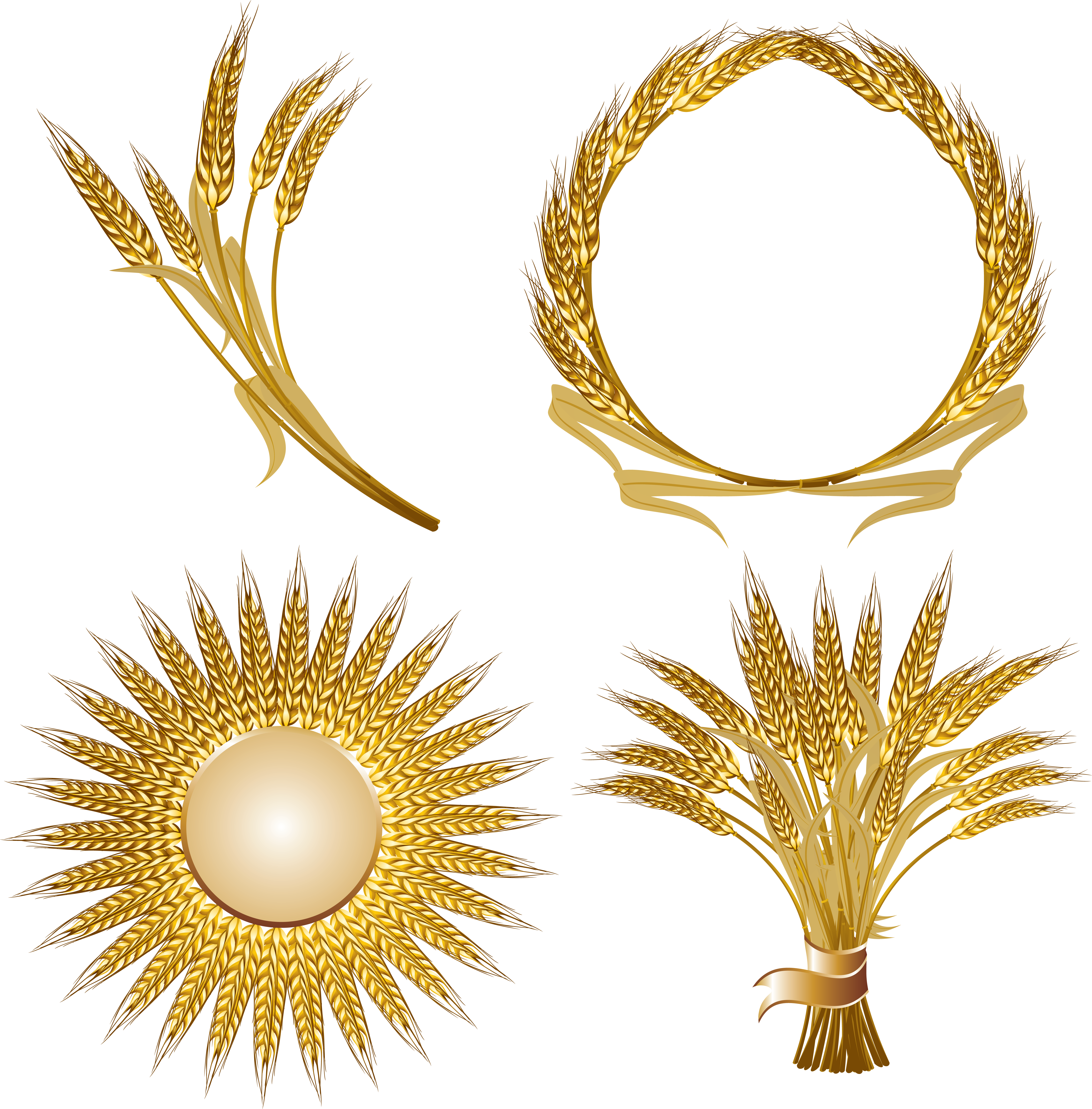 Golden Wheat Vector Design Elements