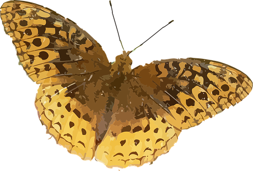 Golden Winged Butterfly Illustration