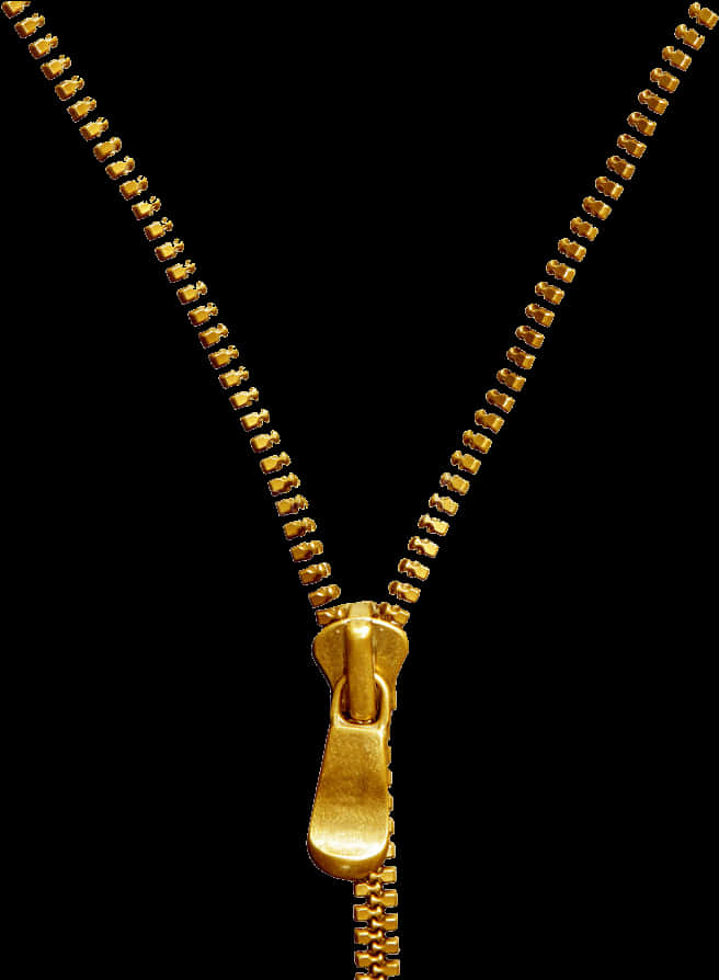 Transparent Gold Zipper Png - Golden Zipper Transparent, Png Download PNG with transparent background