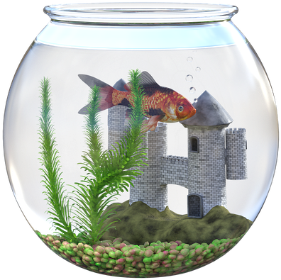 Goldfish, Bowl, Water, Castle, Plant, Children, Pet - Goudvis In Kom Kasteel, HD Png Download PNG with transparent background