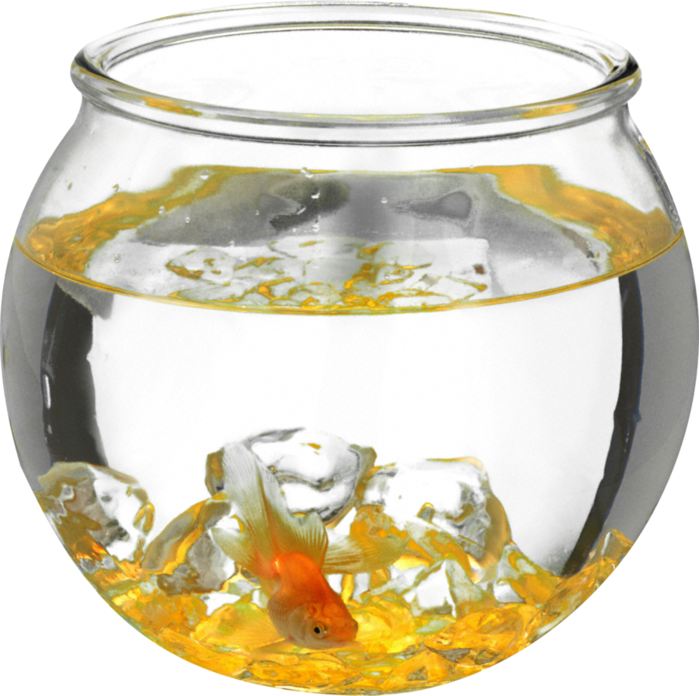 Aquarium Png Images - Aquarium, Transparent Png PNG with transparent background
