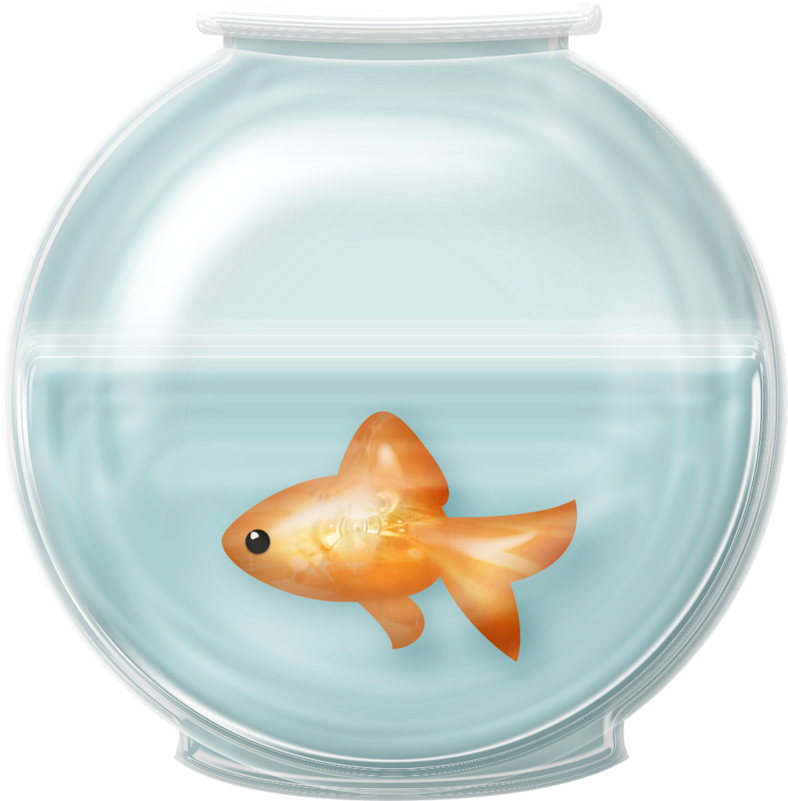28 Collection Of Fish Bowl Clipart Free - Fish In Bowl Png PNG with transparent background