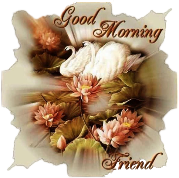 Good Morning Friend Greeting