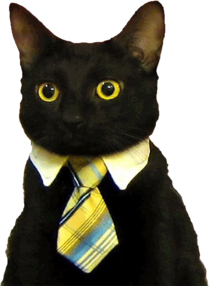 Good Morning Funny Cat , Png Download - Business Cat Meme Blank, Transparent Png PNG with transparent background