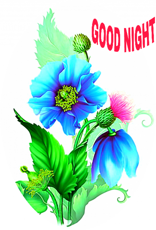 Moonbeam's 1212 , Png Download - Flower Good Night Png, Transparent Png PNG with transparent background
