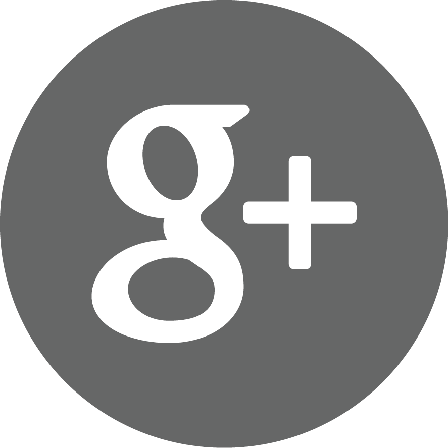 Google Plus Logo Icon