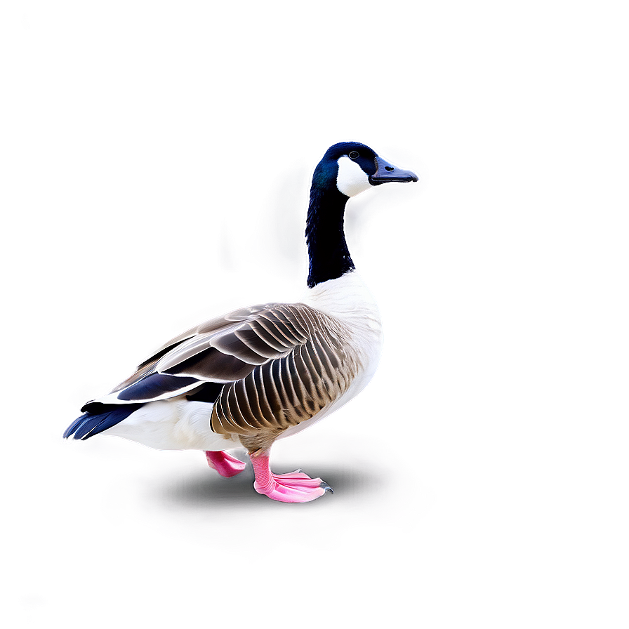 Goose Inspired Pattern Png Gta