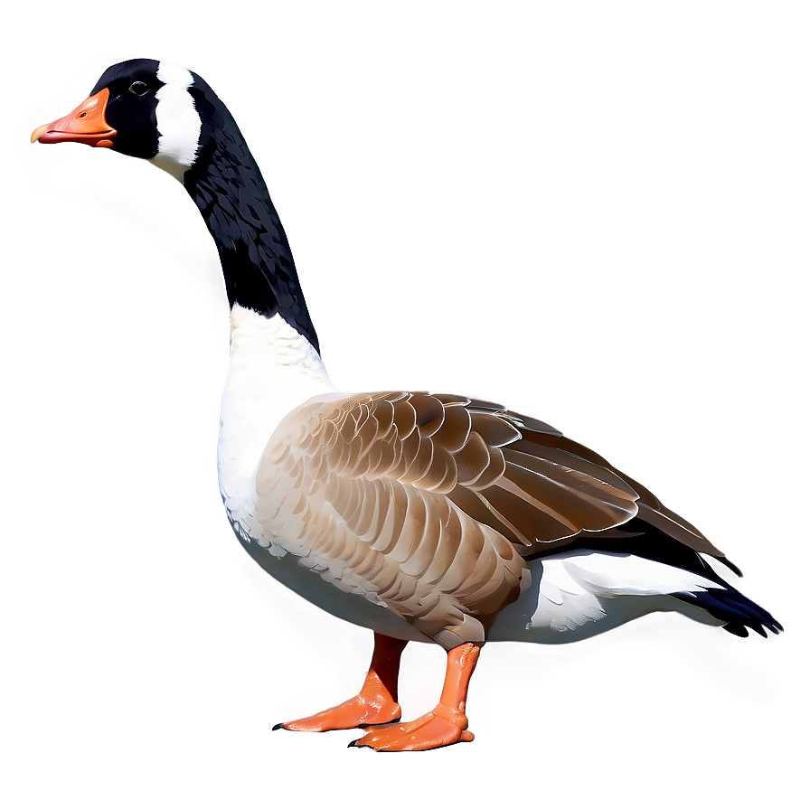 Goose Silhouette Png 68