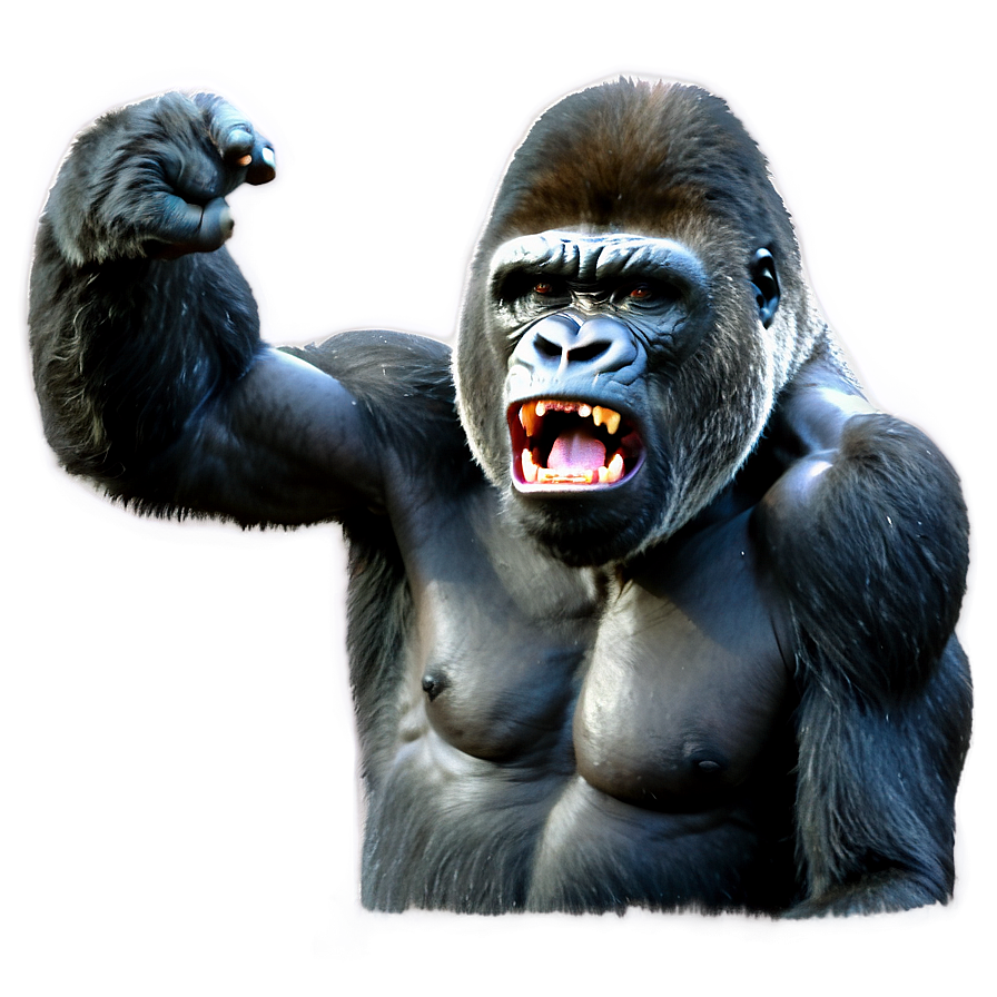 Gorilla Anger Expression Png Tbc71