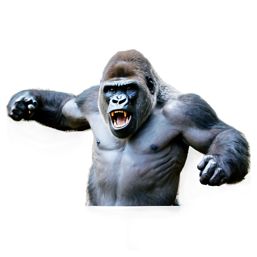 Gorilla Fury Expression Png Ymt4