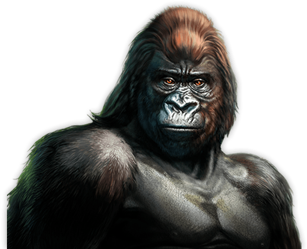 Gorilla™ - Gorilla Slot, HD Png Download PNG with transparent background