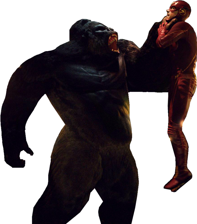 Gorilla Grodd Png, Transparent Png PNG with transparent background