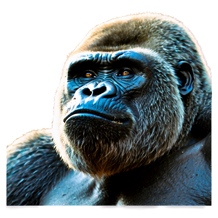 Gorilla On Rage Mode Png Xpj