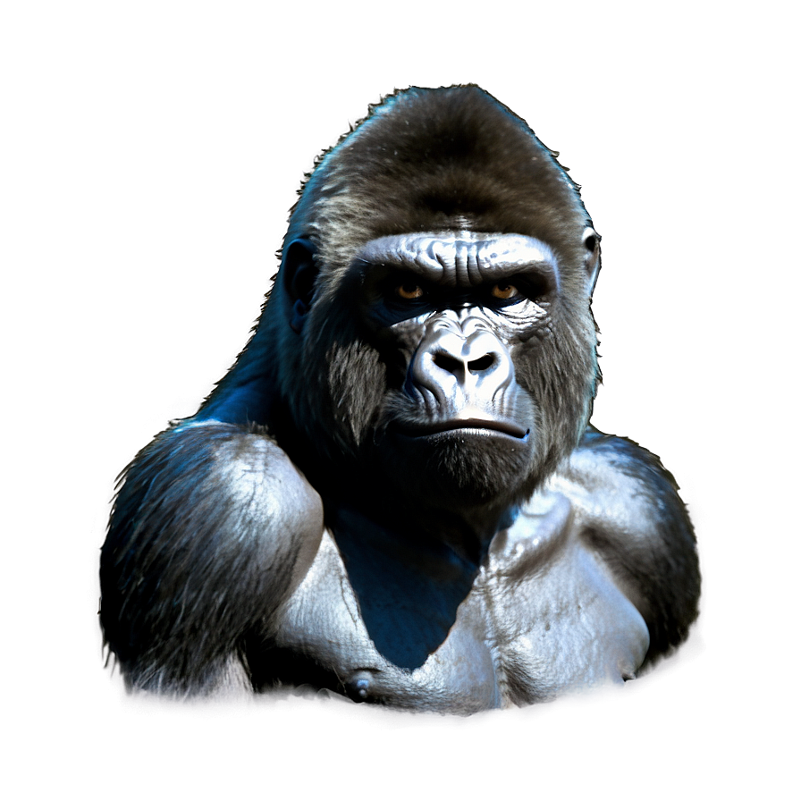 Gorilla With Angry Eyes Png 06252024