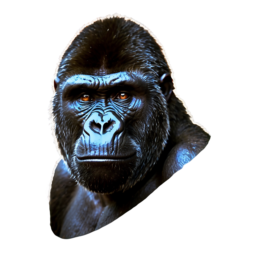 Gorilla With Angry Eyes Png 29