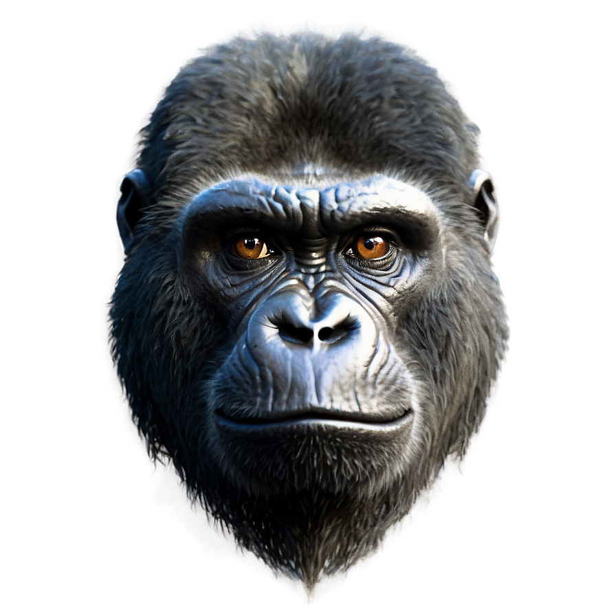 Gorilla With Angry Eyes Png Opv43