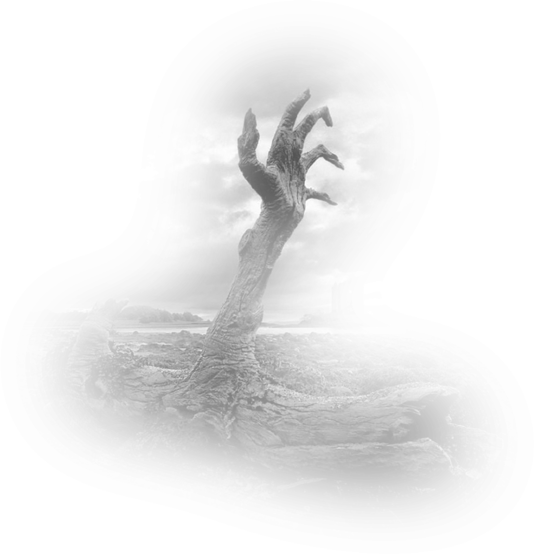 Photography Wallpaper Creepy Desktop Hands Landscape - Creepy Tree, HD Png Download PNG with transparent background