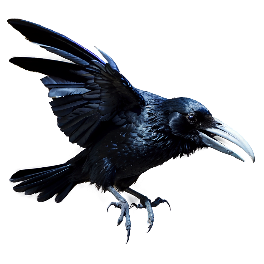 Gothic Raven PNG 82 PNG with transparent background