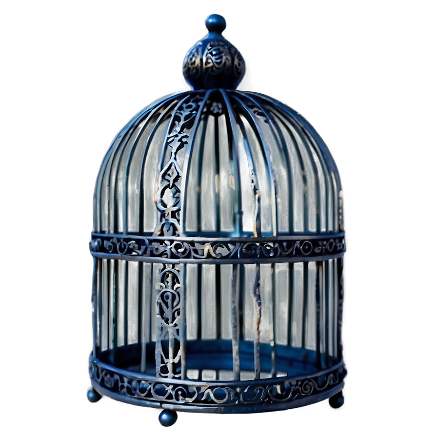 Gothic Style Birdcage Png Bkr