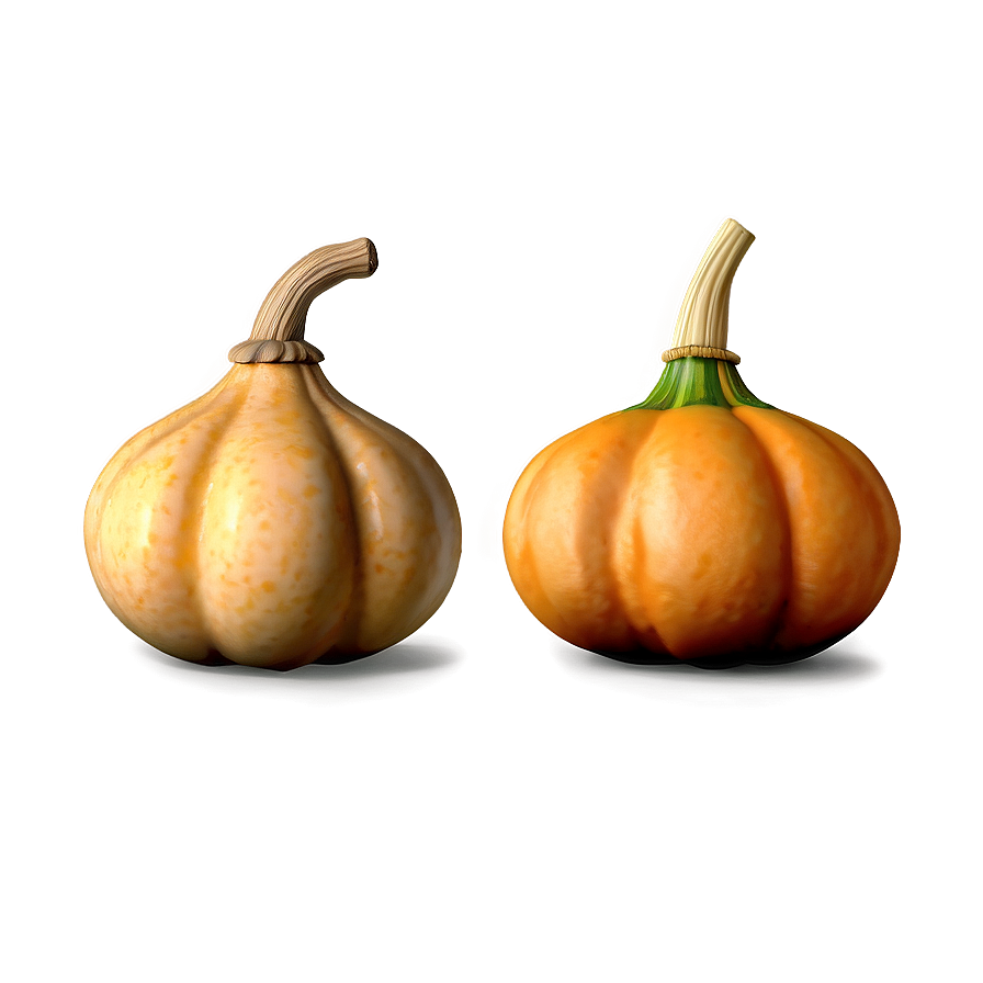 Gourd Collection Png Xio86