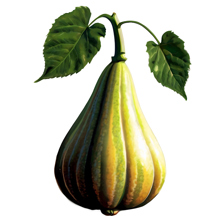 Gourd Plant Png Fqh