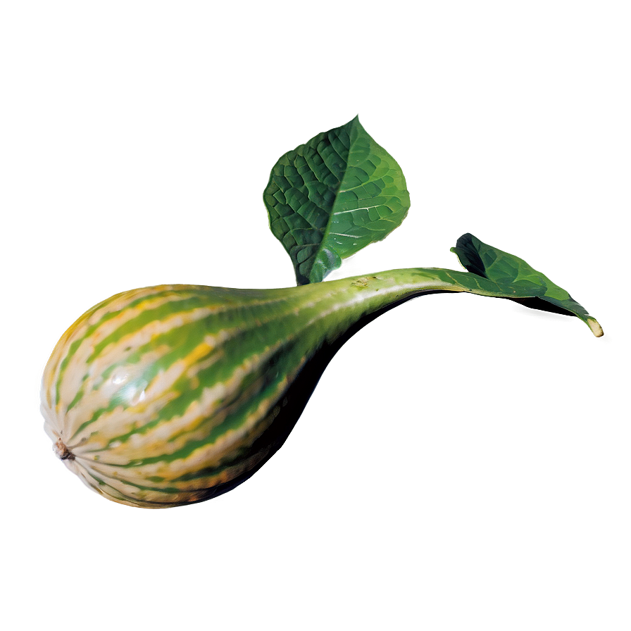 Gourd Plant Png Rsr