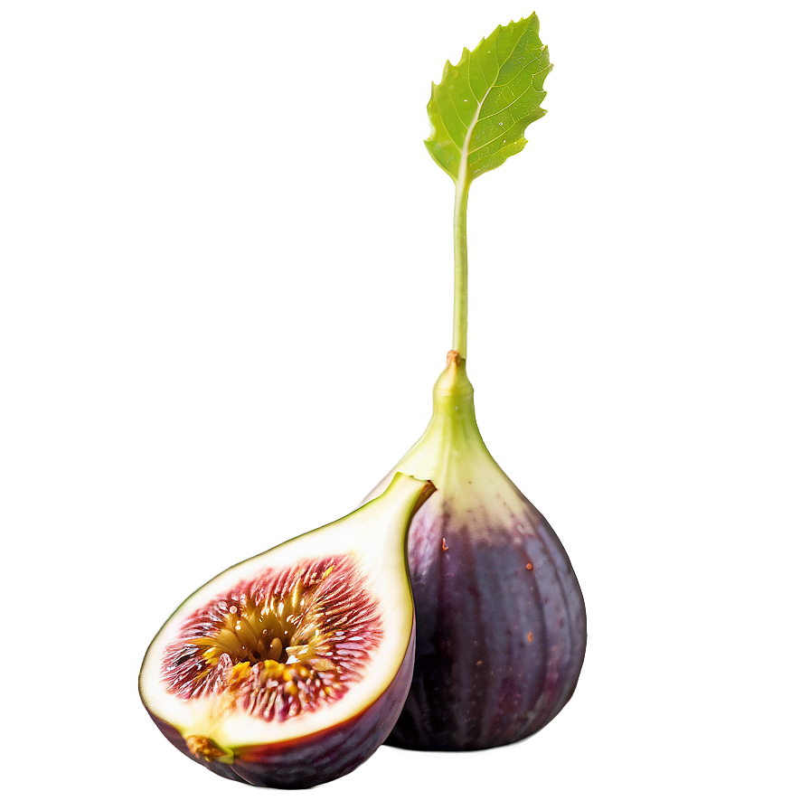 Gourmet Fig Delicacy Png Ojw6