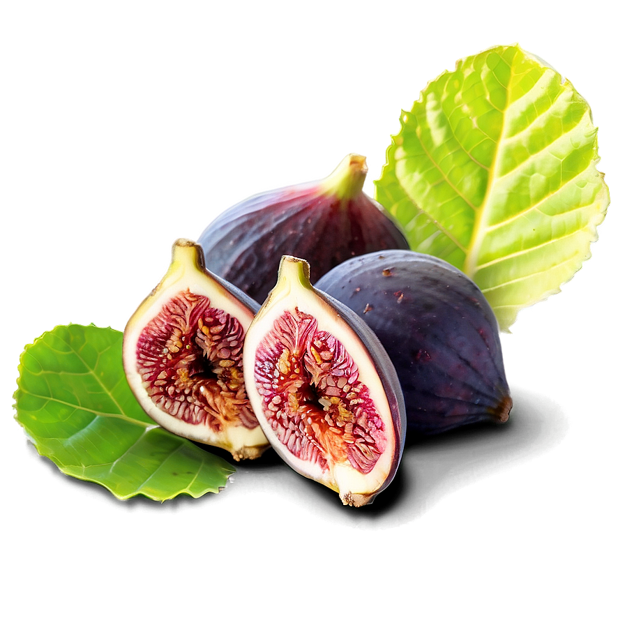 Gourmet Figs Selection Png 06252024