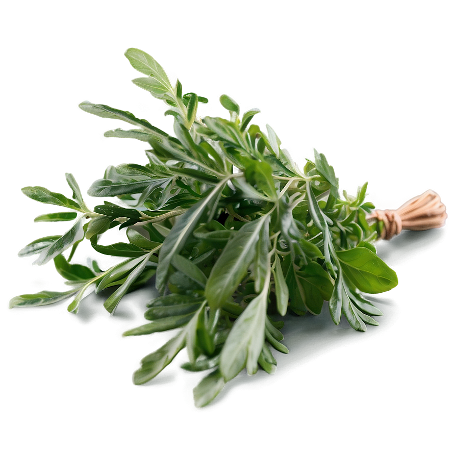 Gourmet Herb Png 98