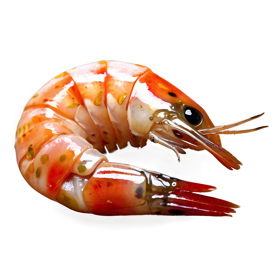 Gourmet Shrimp Png Kjk