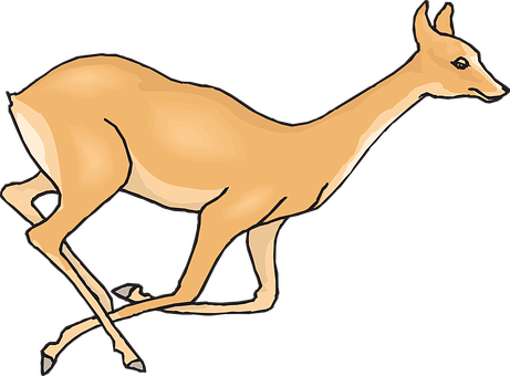 Graceful Deer Illustration