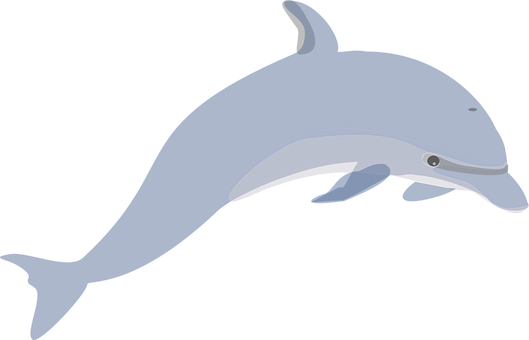 Graceful Dolphin Illustration PNG with transparent background