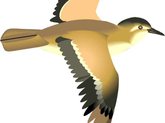 Graceful_ Flying_ Bird_ Illustration.png